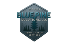 Logo for Blue Pine Solutions, LLC Logo for Blue Pine Solutions, LLC