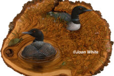 Photo of Joan White’s Nicolet Studio, LLC Photo of Joan White’s Nicolet Studio, LLC