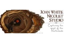 Logo for Joan White’s Nicolet Studio, LLC Logo for Joan White’s Nicolet Studio, LLC