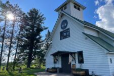 Photo of Wolf River Roots Photo of Wolf River Roots