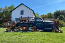 Photo of Wood Pickers, LLC Photo of Wood Pickers, LLC